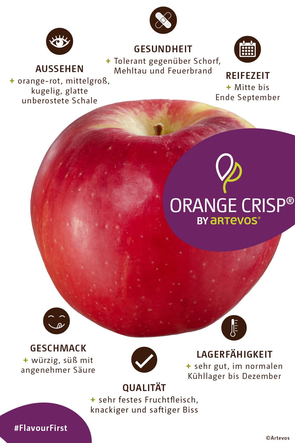 Orange Crisp