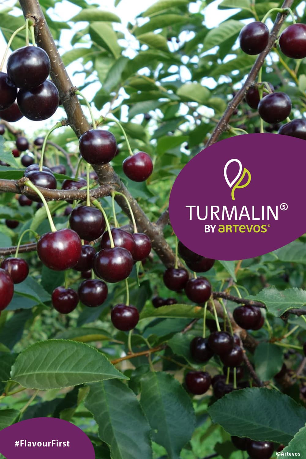 Turmalin